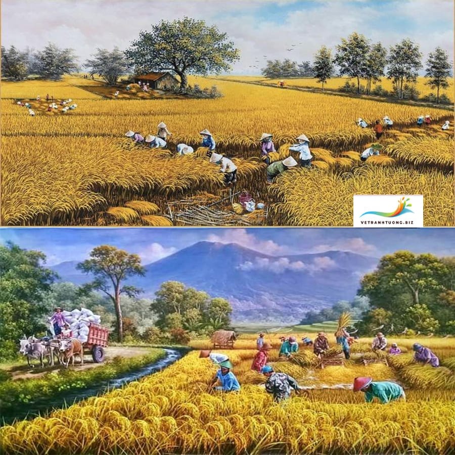 mẫu tranh đồng quê gặp lúa